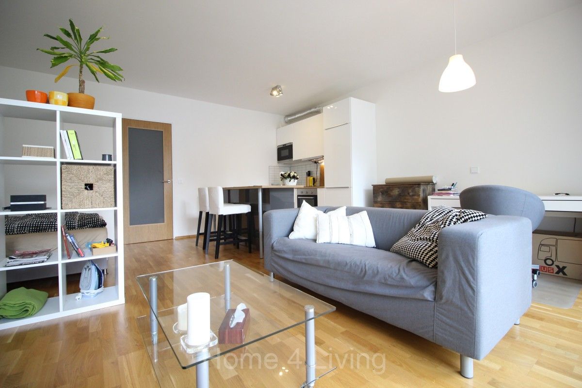 Byt 1+kk · 45 m² · Božetěchova, Brno - 4