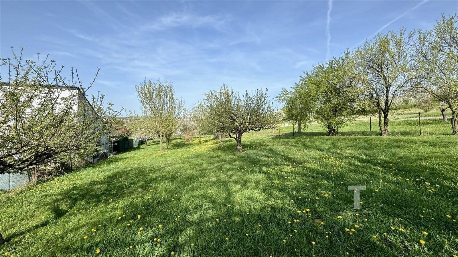 Prodej pozemek pro bydlení - Bořitov