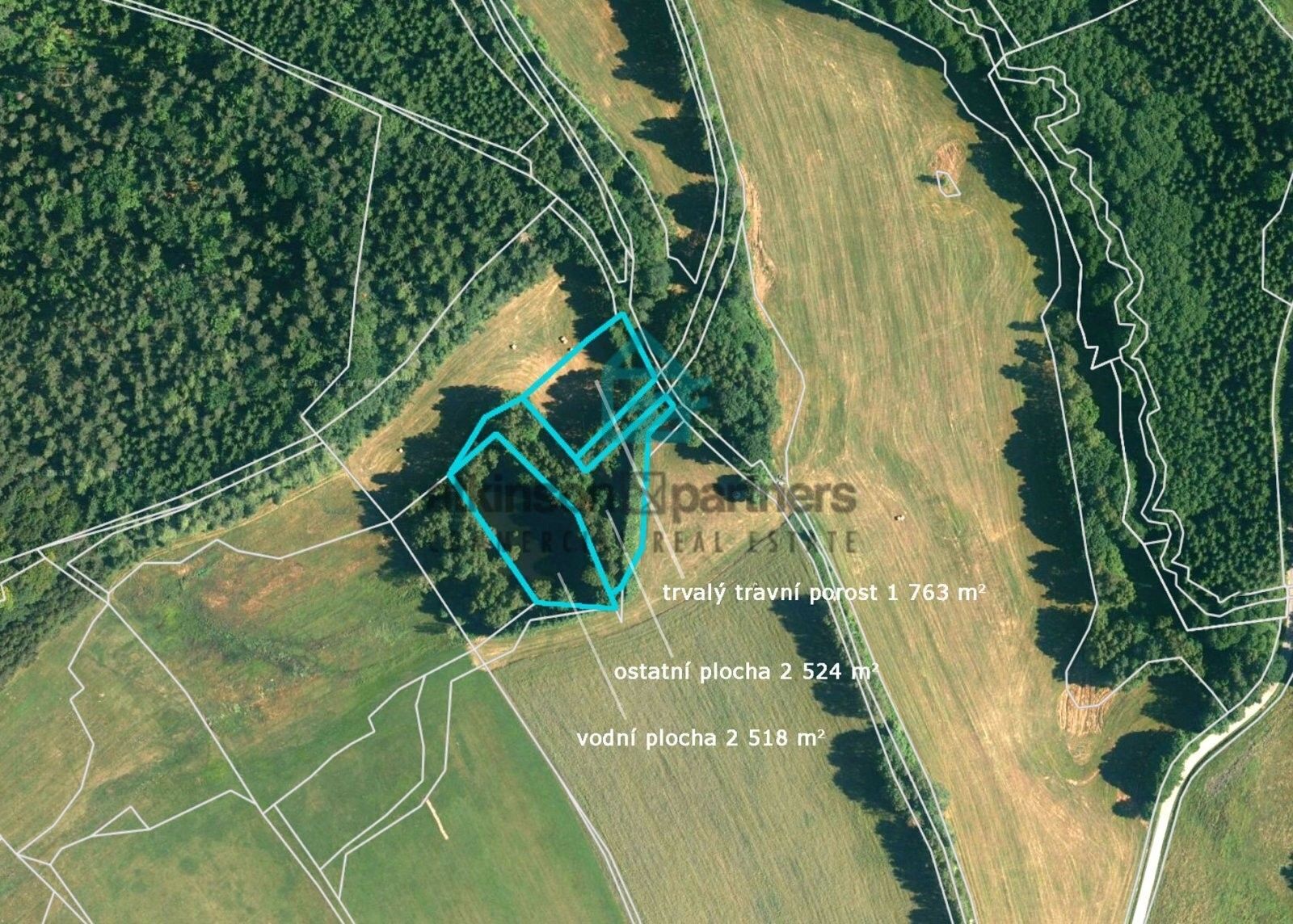 Prodej pozemek - Klení, Benešov nad Černou, 6 805 m² - 5