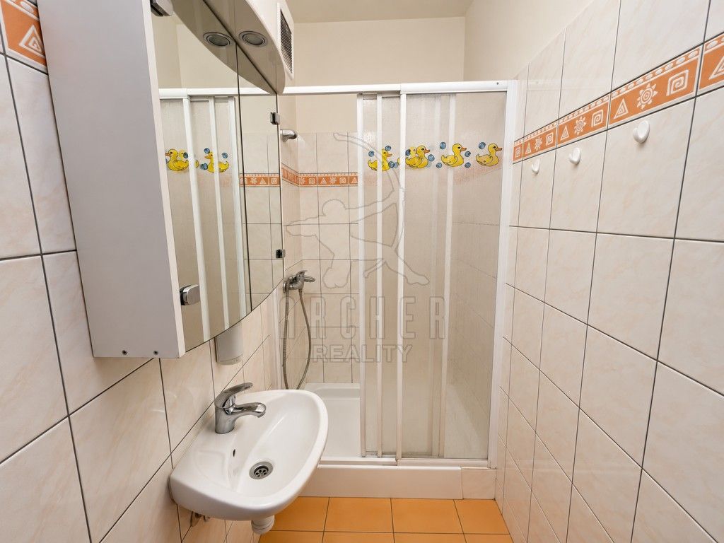 Byt 1+kk · 23 m² · Vavřenova 1170, Praha Braník - 4