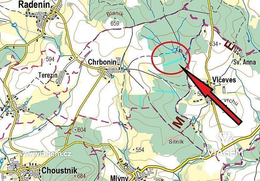 Les · Chrbonín, okres Tábor, Jihočeský kraj - 4