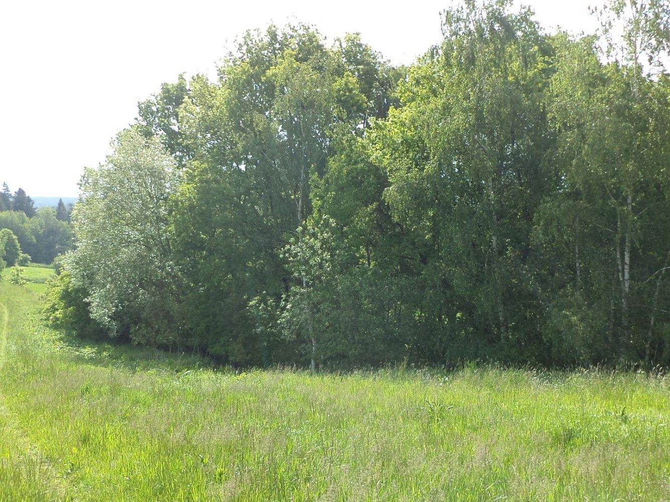 Louky, Vícemil - 1