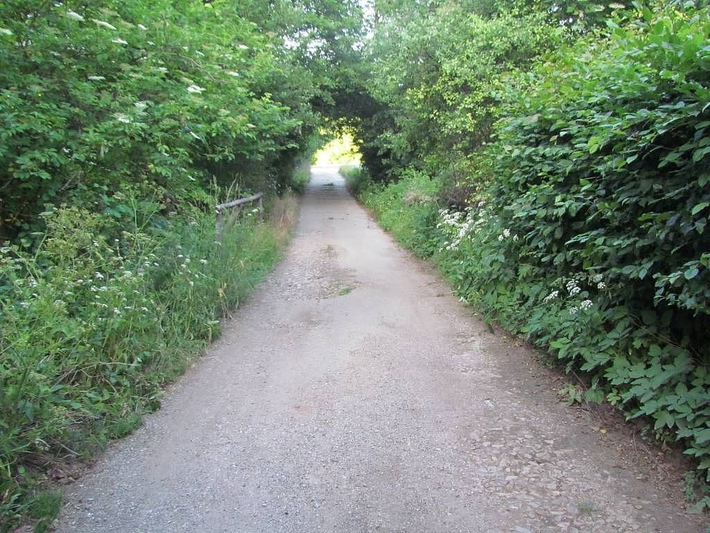 Chata · Tvarožná Lhota, Jihomoravský kraj - 3