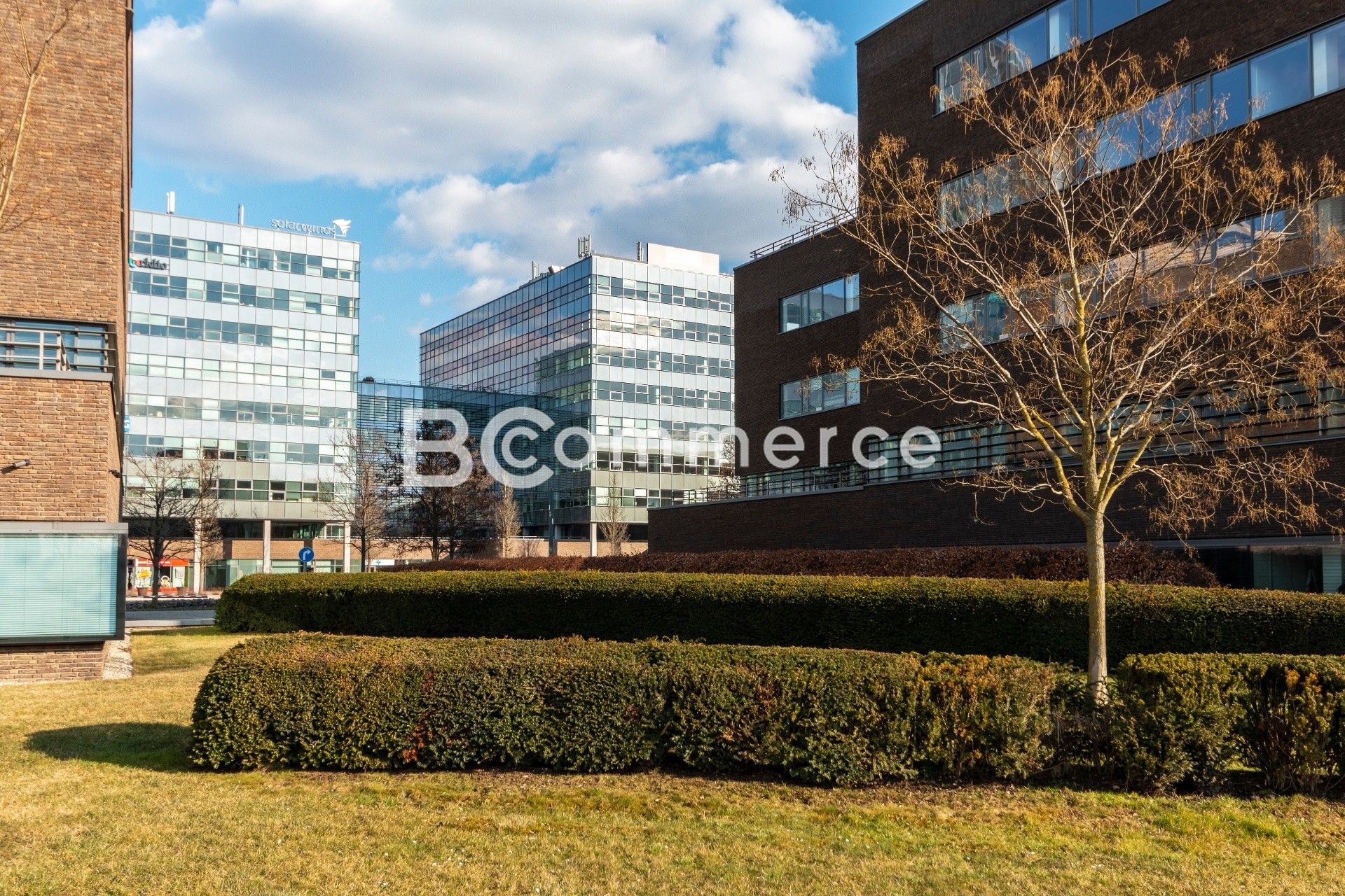 Kanceláře, Štýřice, Brno, 500 m²