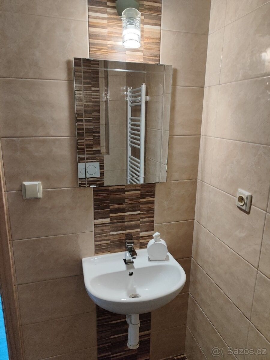 Pronájem byt - Bzenec, 696 81