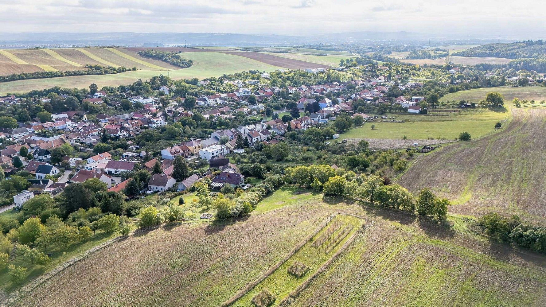 Prodej pozemek pro bydlení - Modrá, okres Uherské Hradiště - 5