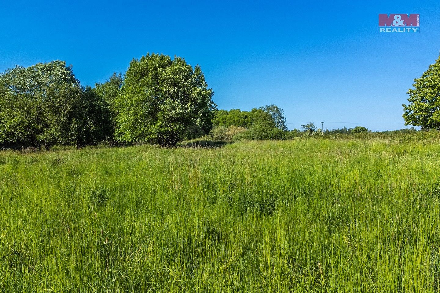 Prodej zemědělský pozemek - Krásná Lípa, okres Děčín - 5