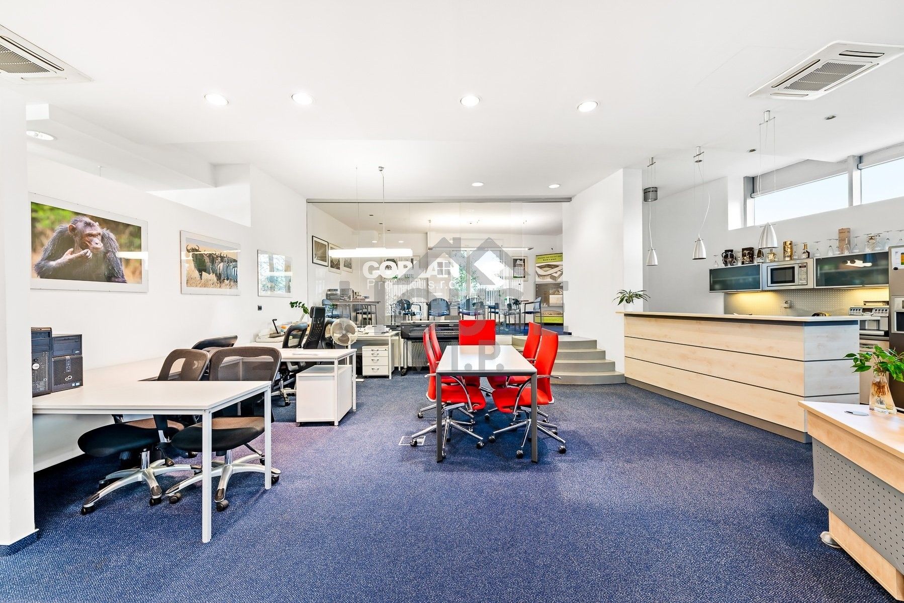 Kanceláře, Jetelová, Praha, 234 m²