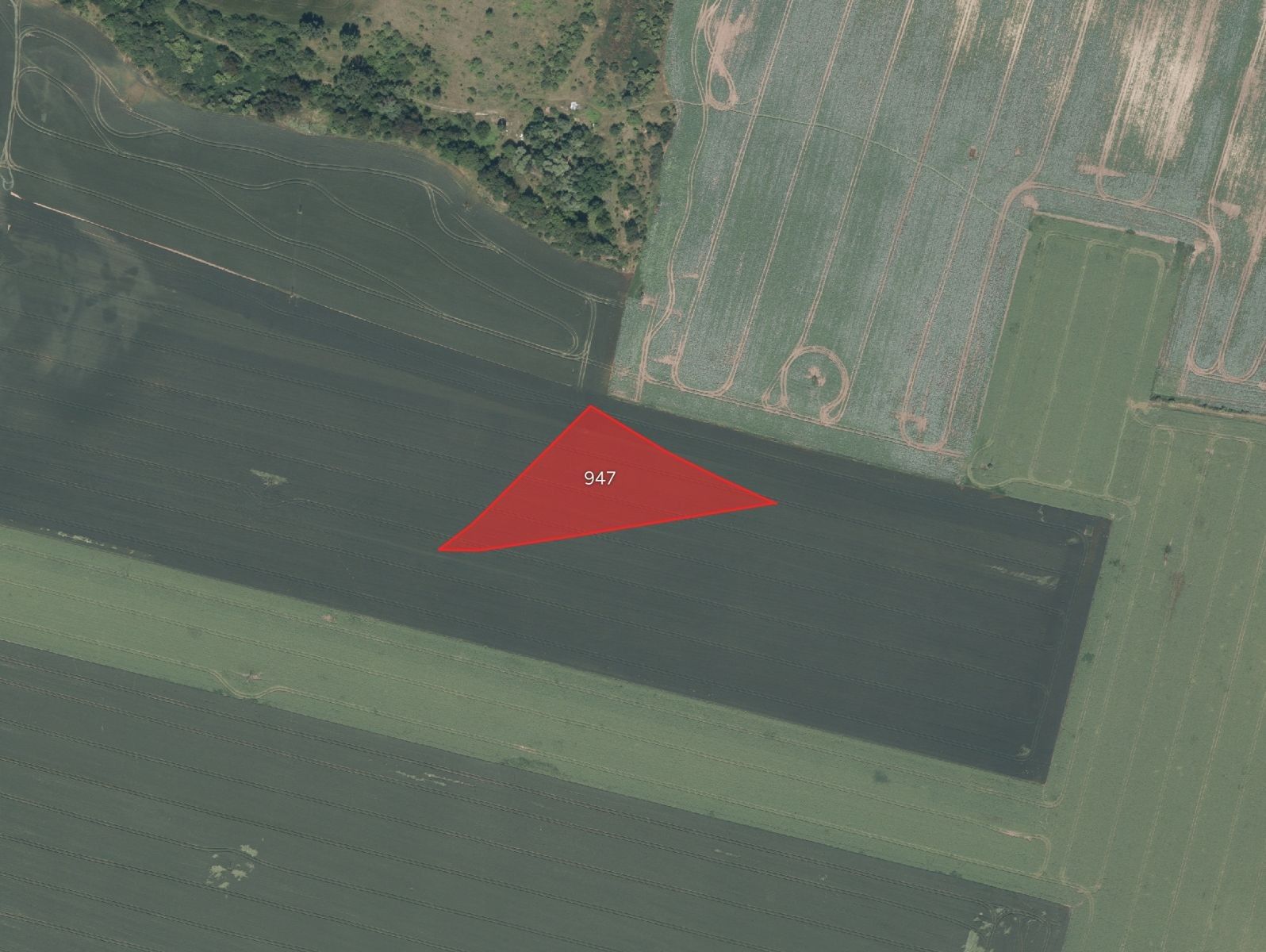 Zemědělský pozemek, 2 646 m²