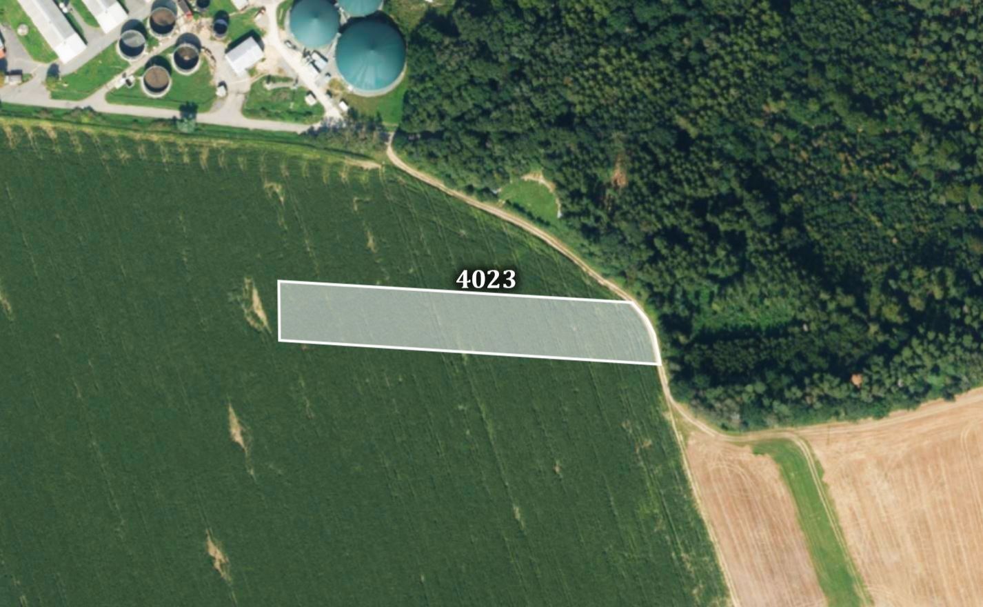 Zemědělské pozemky, Sázava, 7 482 m²