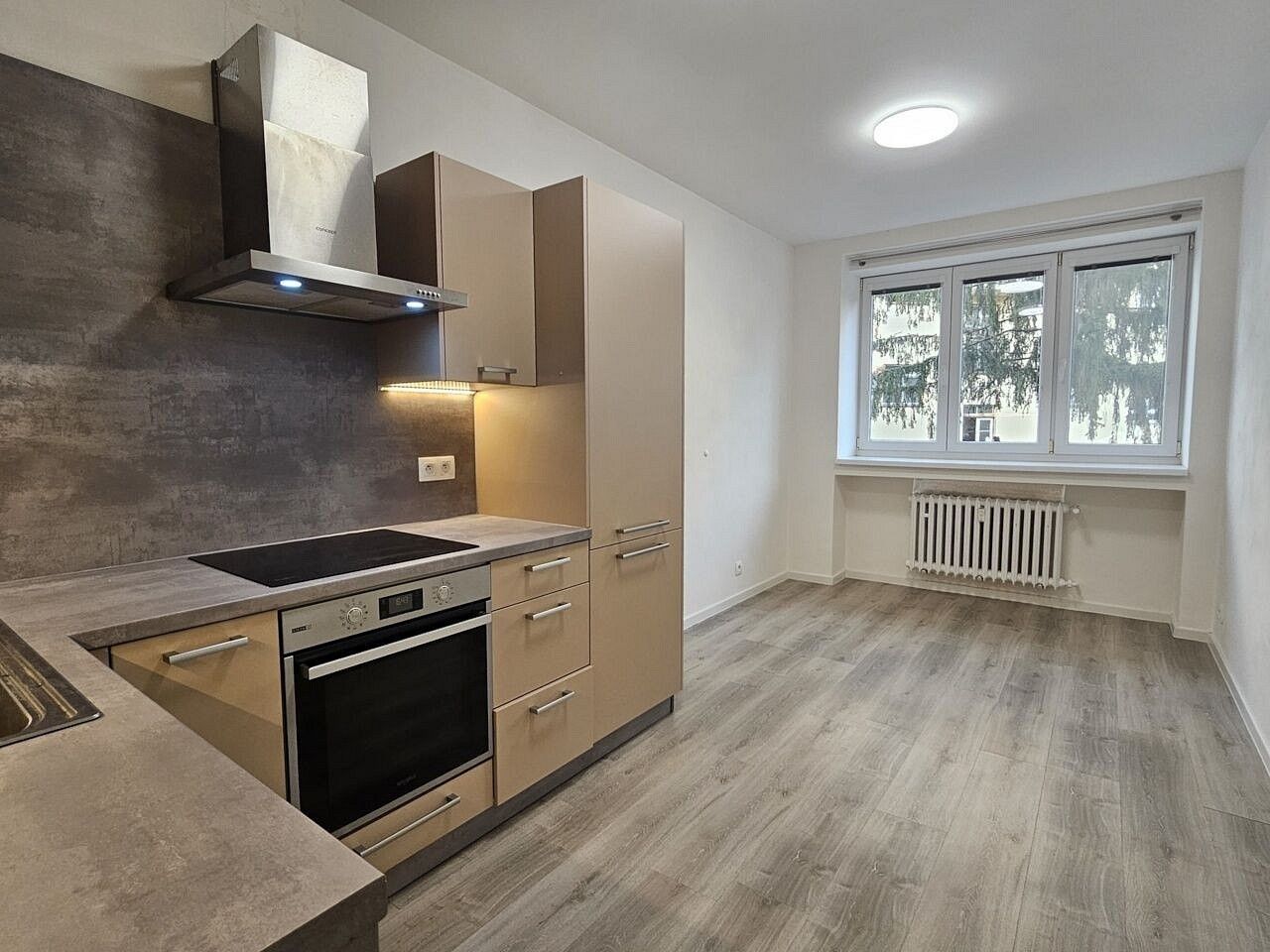 Pronájem byt 2+1 - Podolská, Praha 4 - Podolí, 75 m² - 5