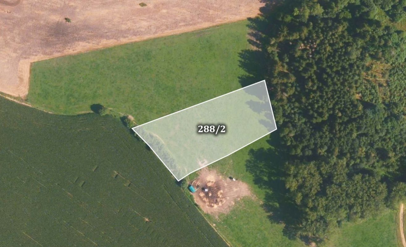 Prodej zemědělský pozemek - Jindřichovice, Kolinec, 22 496 m²