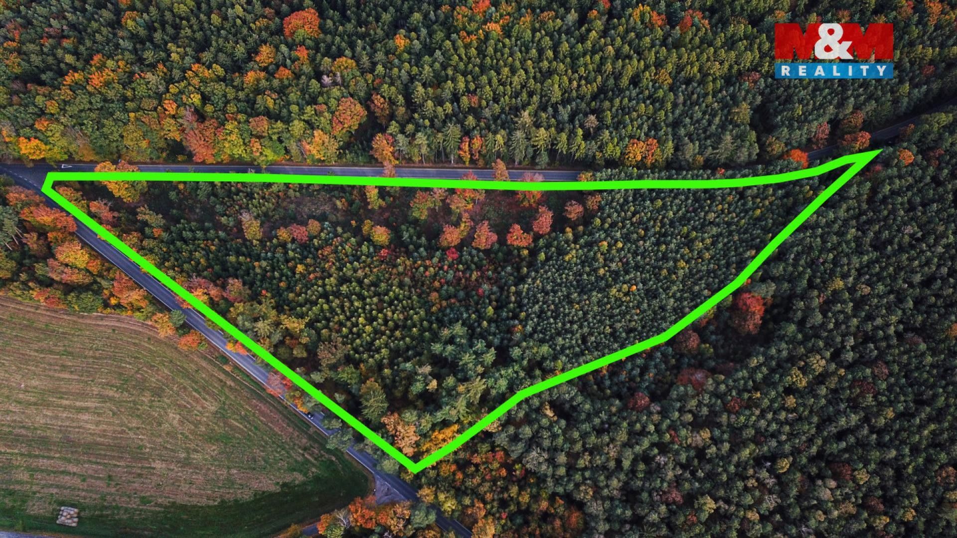 Prodej les - Bělá, Luže