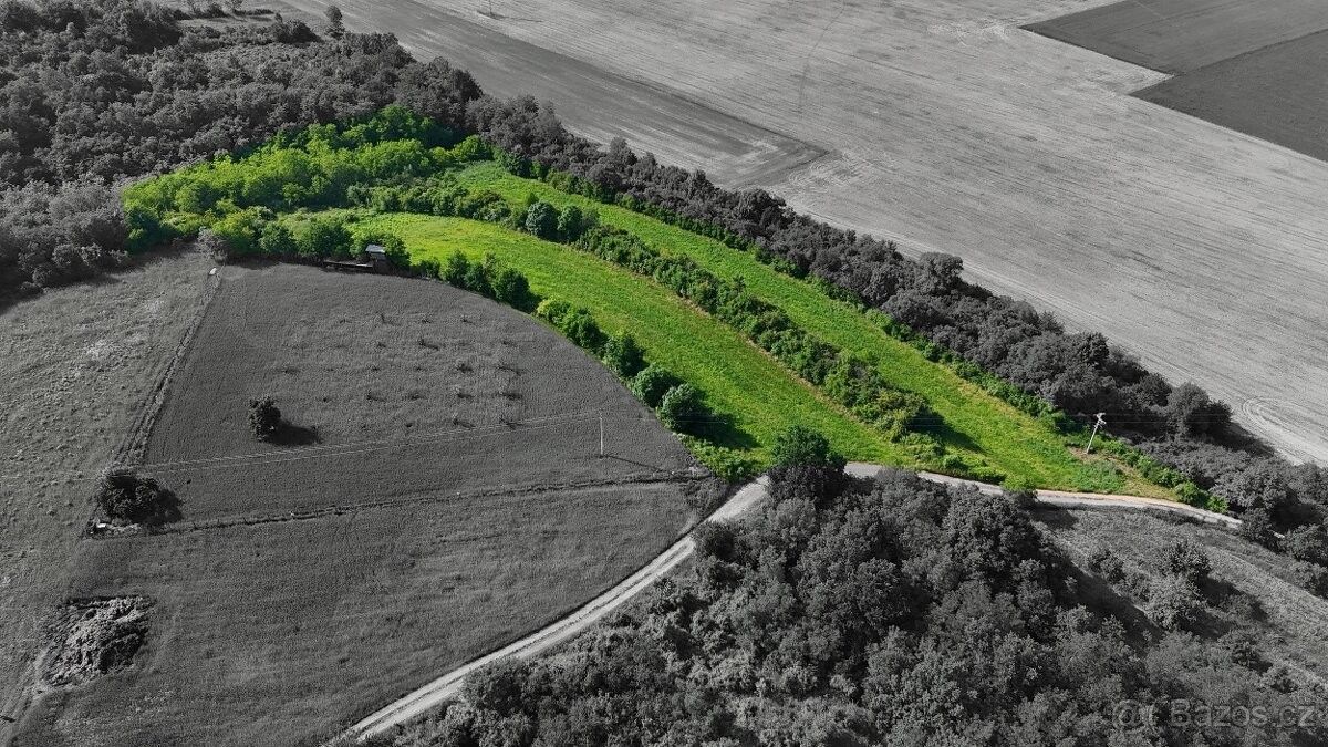 Pozemky pro bydlení, Bechlín, 411 86