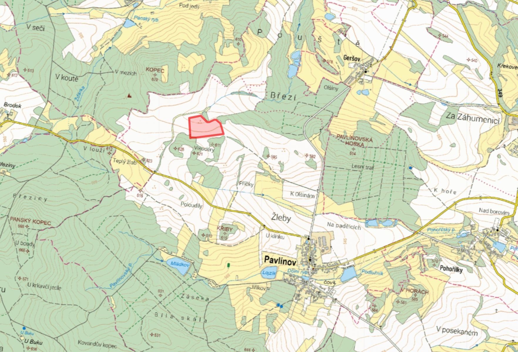 Prodej zemědělský pozemek - Pavlínov - 2