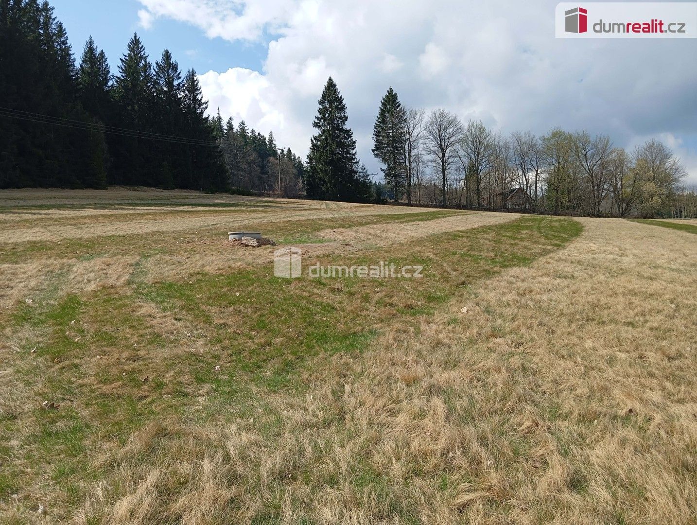 Prodej pozemek pro bydlení - Zdíkov Masákova Lhota, 6 036 m² - 5