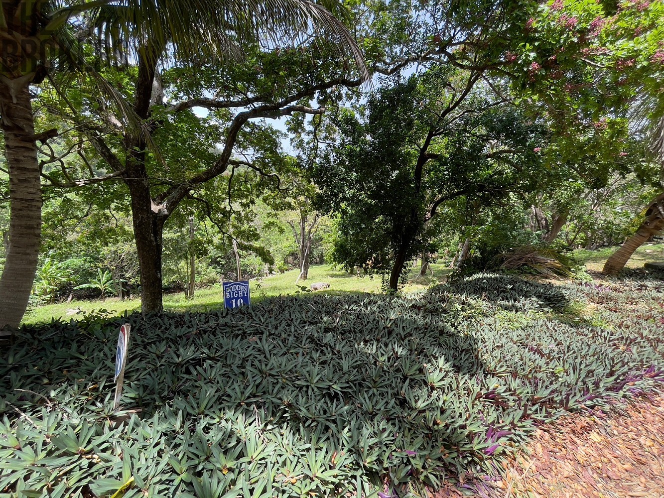 Prodej pozemek pro bydlení - Coxen Hole, Roatán, Honduras - 5