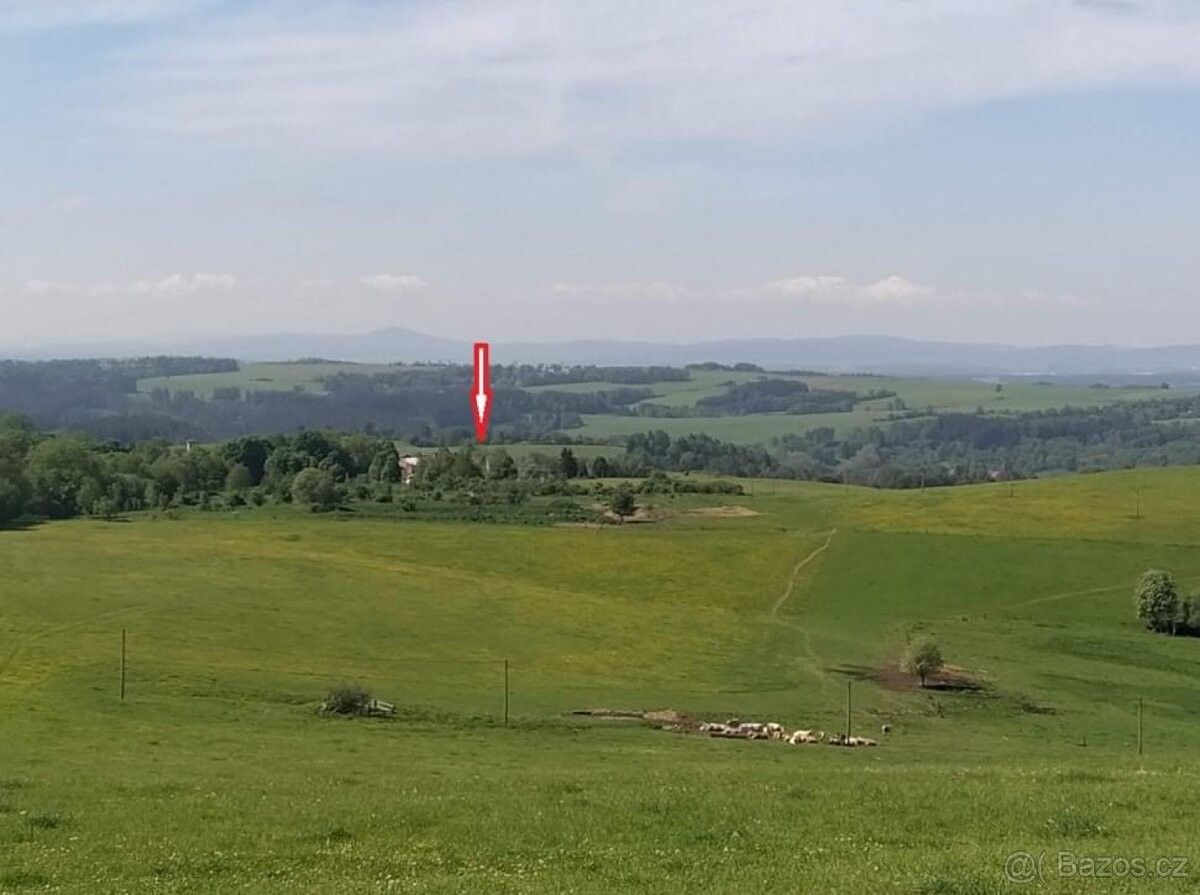 Pozemky pro bydlení, Chodová Planá, 348 13