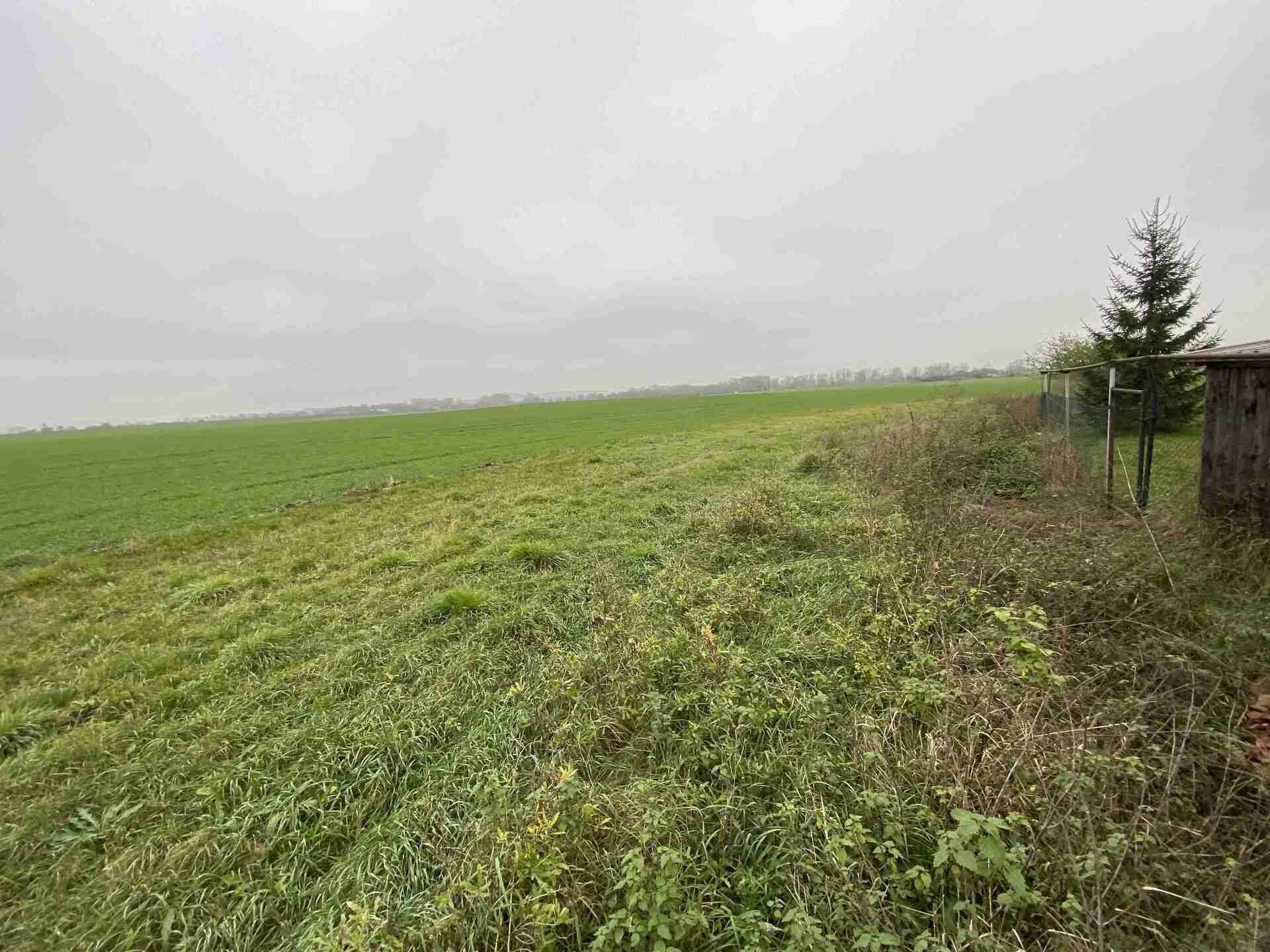 Pozemek · 1 293 m² · Opolany - 2