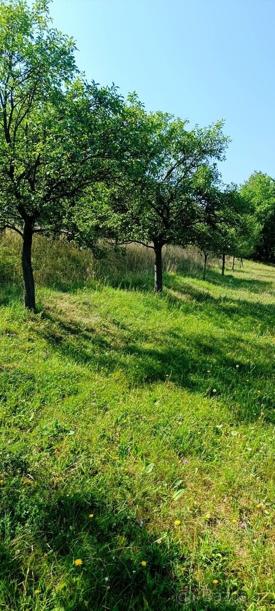 Prodej rodinný dům - Zašová, 756 51 - 5