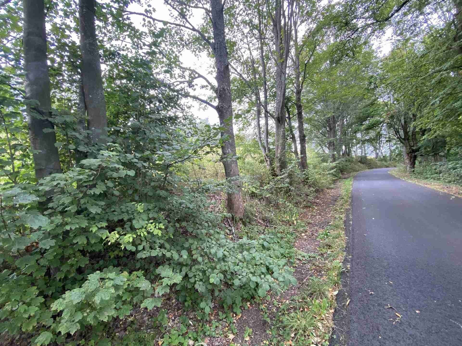 Zemědělské pozemky, Dolní Nivy, 1 m²