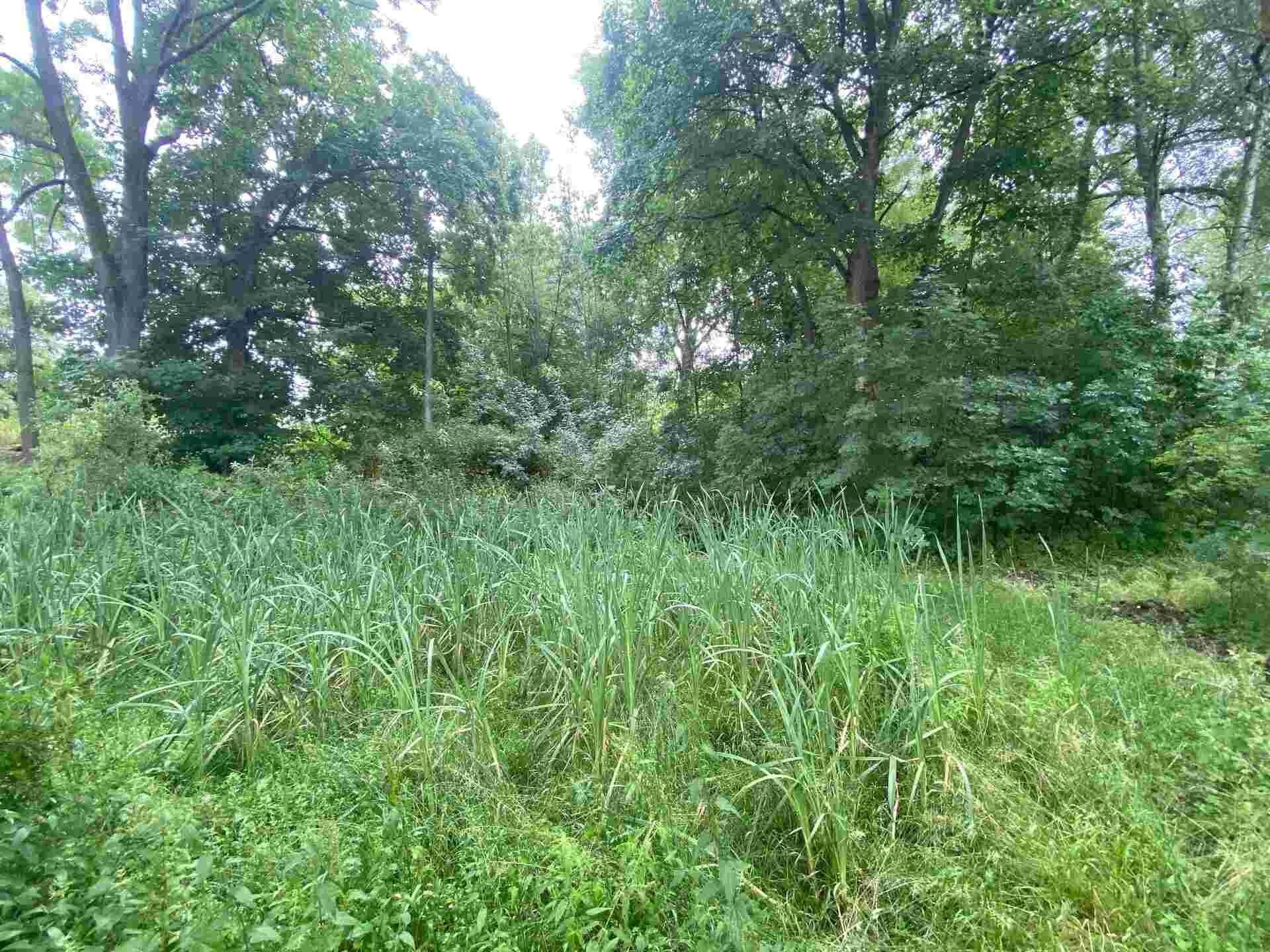 Pozemek · 1 993 m² · Březová - 3