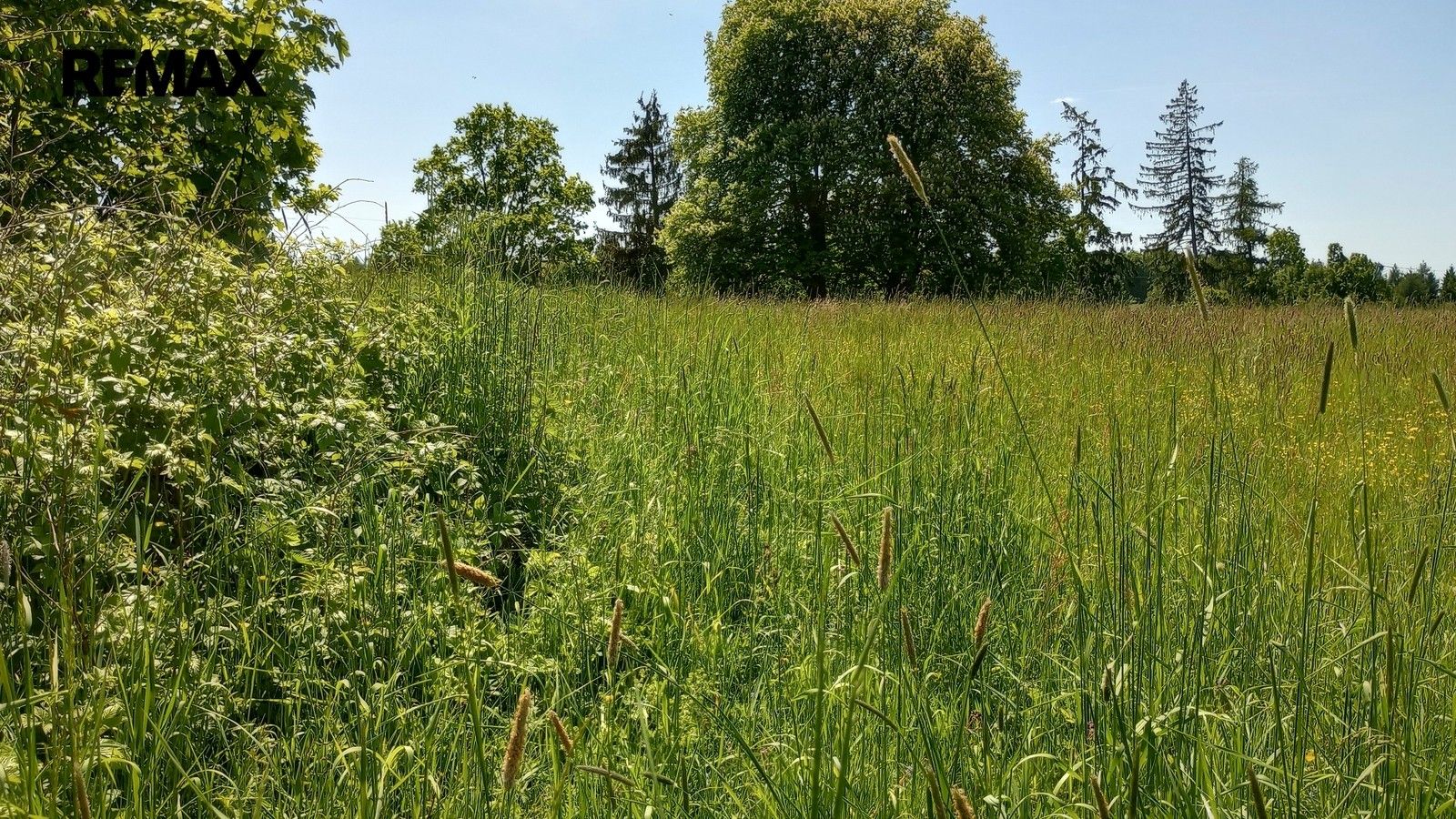 Pozemek pro bydlení · 4 273 m² · Anenská Studánka - 3