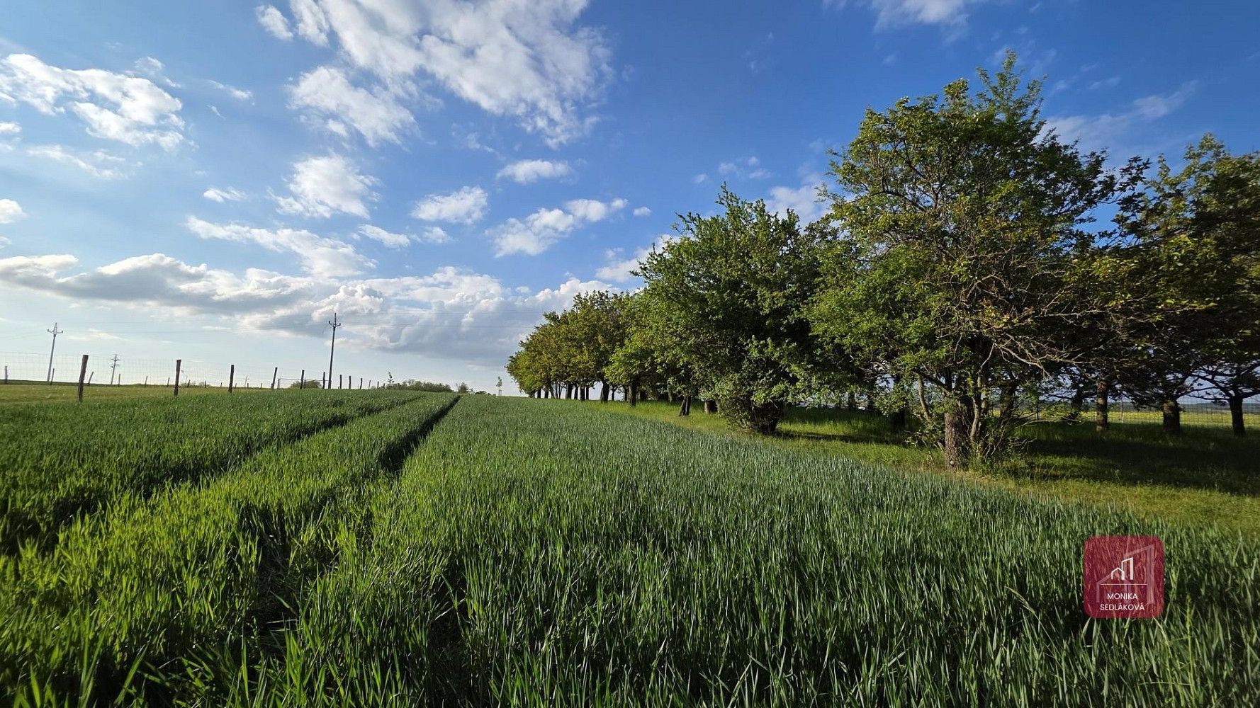 Zemědělské pozemky, Tvarožná, okres Brno-venkov, Jihomoravský kraj