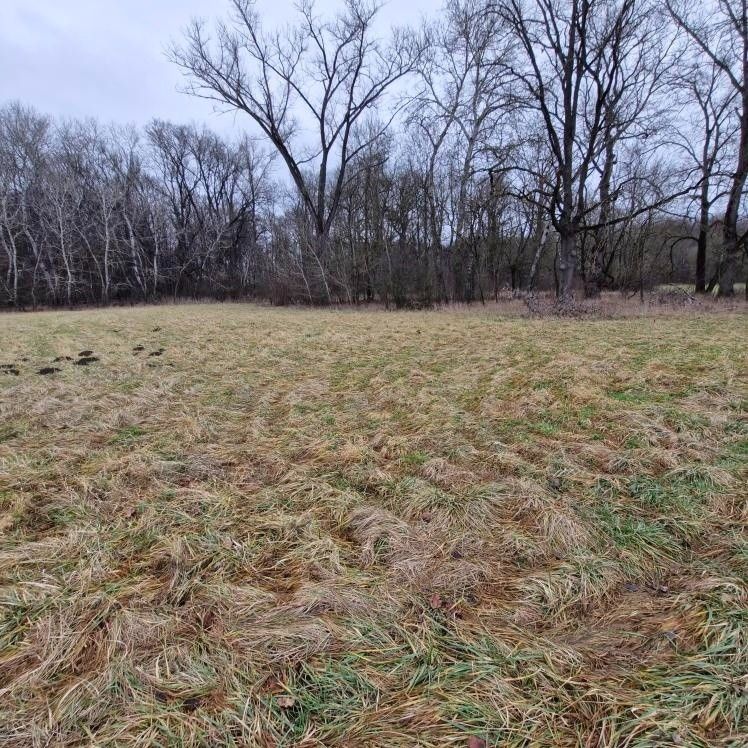 Pozemky pro bydlení, Uherský Ostroh, 687 24