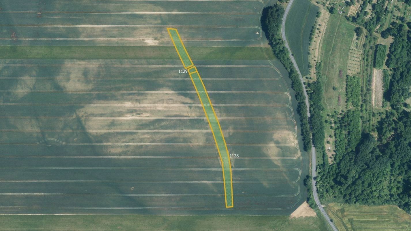 Zemědělské pozemky, Medlovice