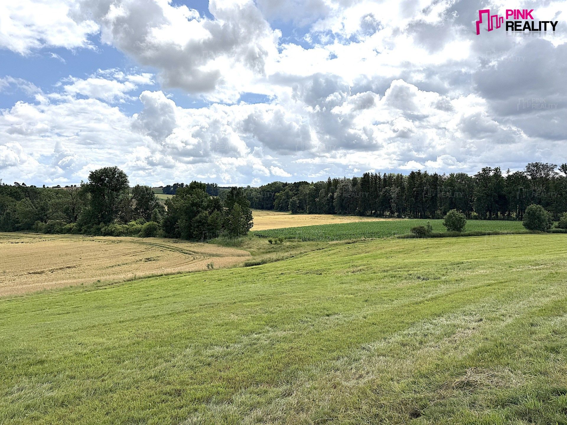 Prodej louka - Rychnov nad Kněžnou, 16 663 m² - 5