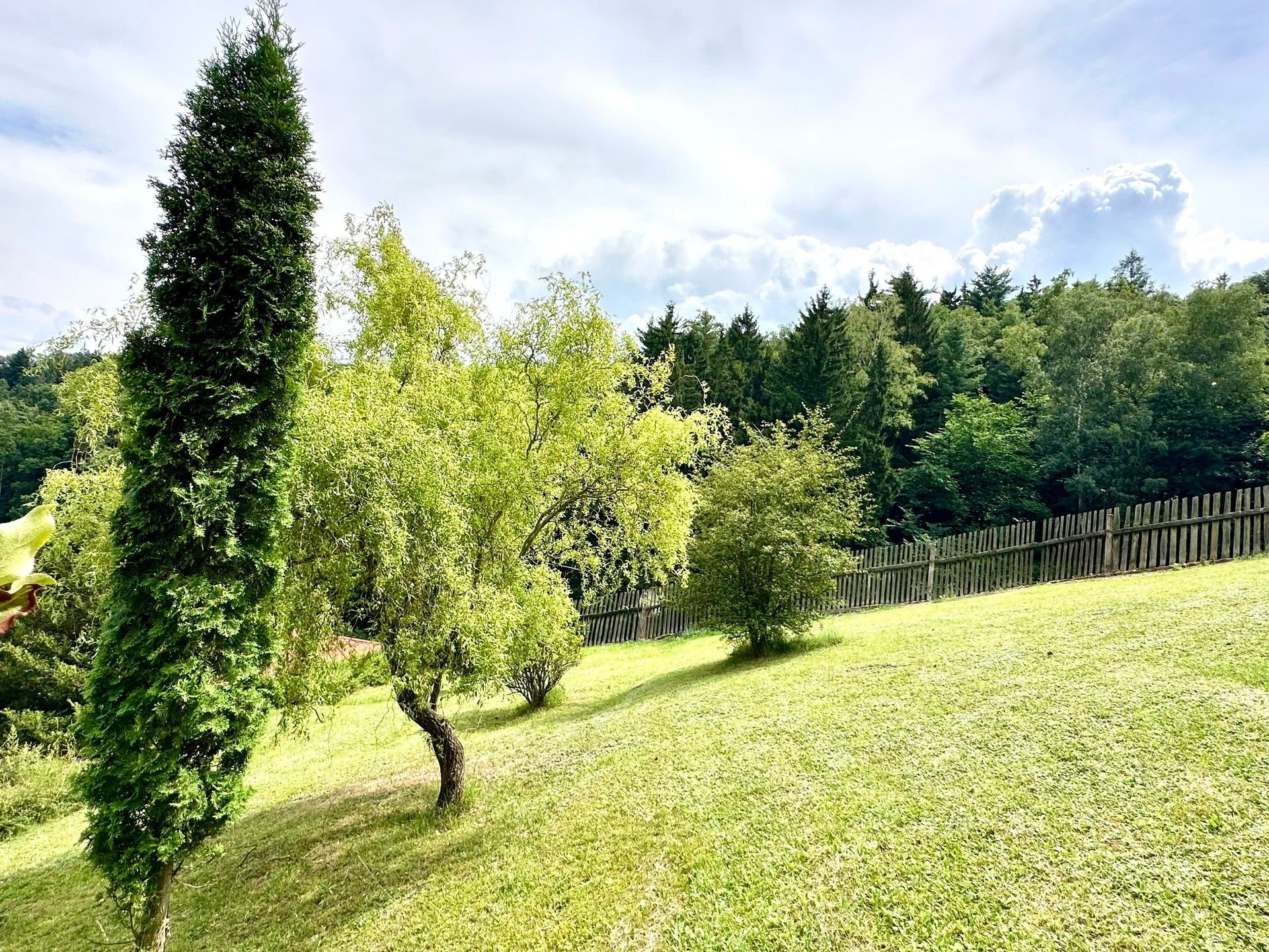 Pozemky pro bydlení, Stříbrná Skalice, 3 706 m² - 1