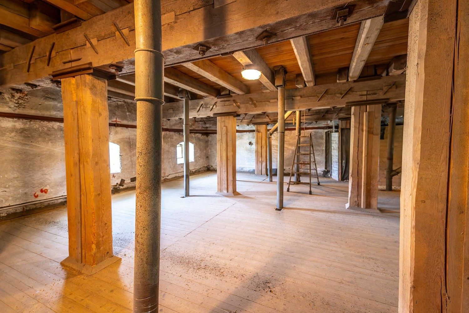 Zemědělský objekt · 1 137 m² · Božejov, okres Pelhřimov, Kraj Vysočina - 3