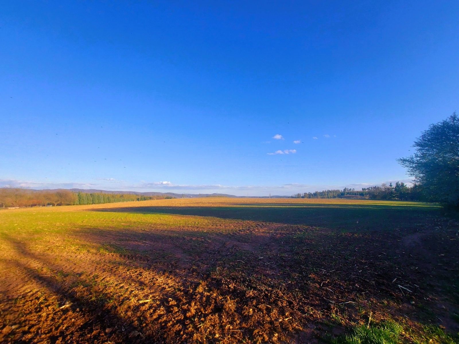 Pozemek pro bydlení, 11 943 m²