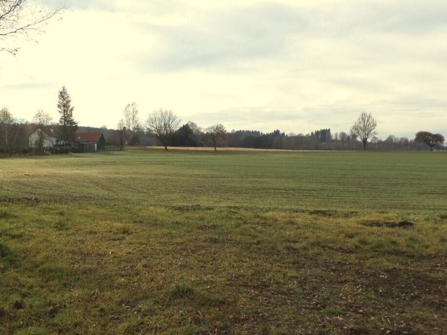 Zemědělské pozemky, Kaplice Mostky, 9 169 m² - 2