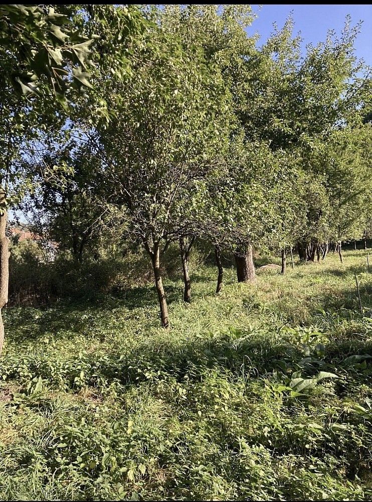 Zahrady, Jaroměřice nad Rokytnou, 675 51