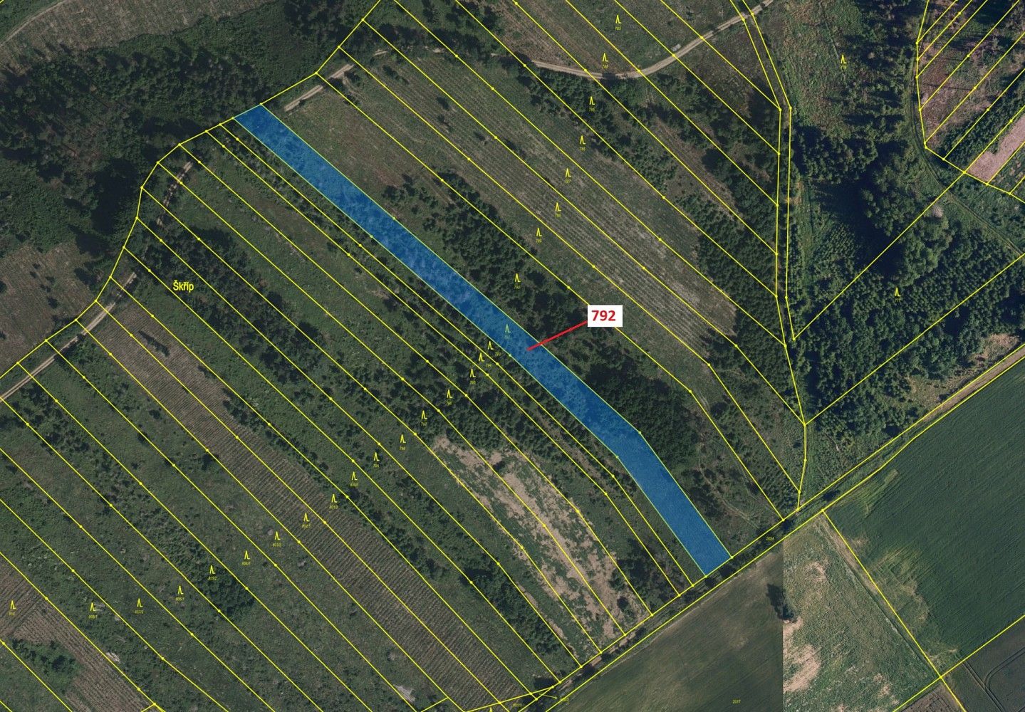Prodej les - Krasonice, okres Jihlava, Kraj Vysočina - 2