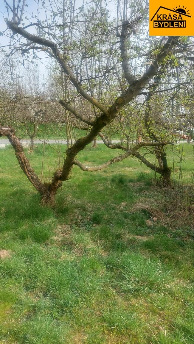 Pronájem zahrada - Slavonín, Olomouc, 310 m²