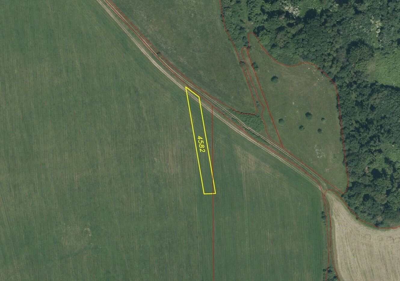 Zemědělské pozemky, Chodská Lhota, 1 430 m² - 1