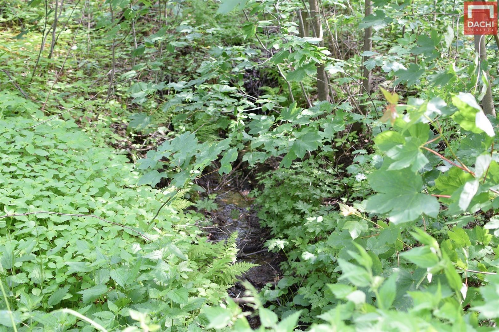 Prodej pozemek - Horní Heřmanice, 4 m²