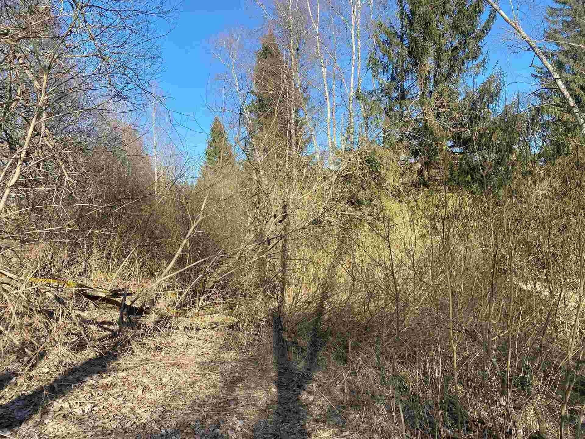 Prodej pozemek - Čachrov Javorná, 10 377 m² - 2