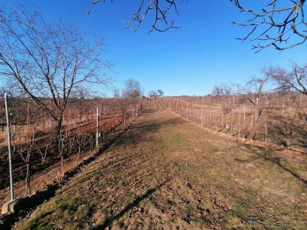 Pozemek · 2 596 m² · Bzenec - 4