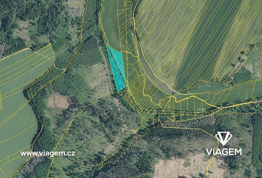 Les · Velká Bíteš, okres Žďár nad Sázavou, Kraj Vysočina - 4