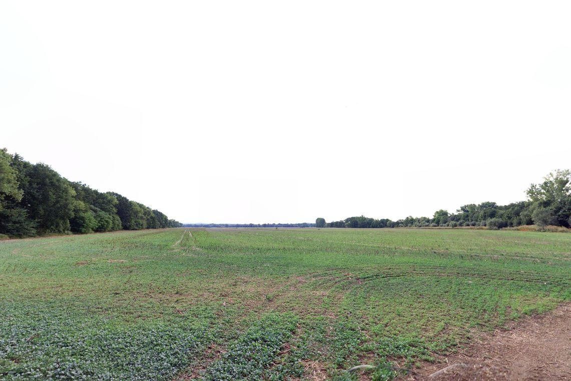 Zemědělské pozemky, Sudoměř, Čejetice, 6 385 m² - 2