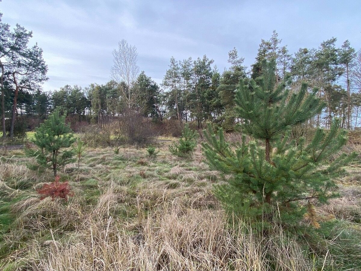 Prodej pozemek pro bydlení - Sadská, 289 12