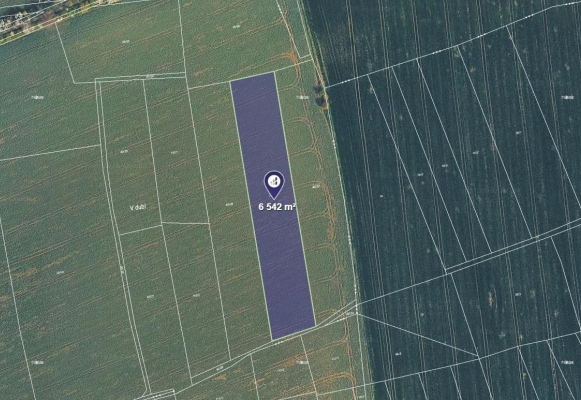 Zemědělský pozemek, 6 542 m²