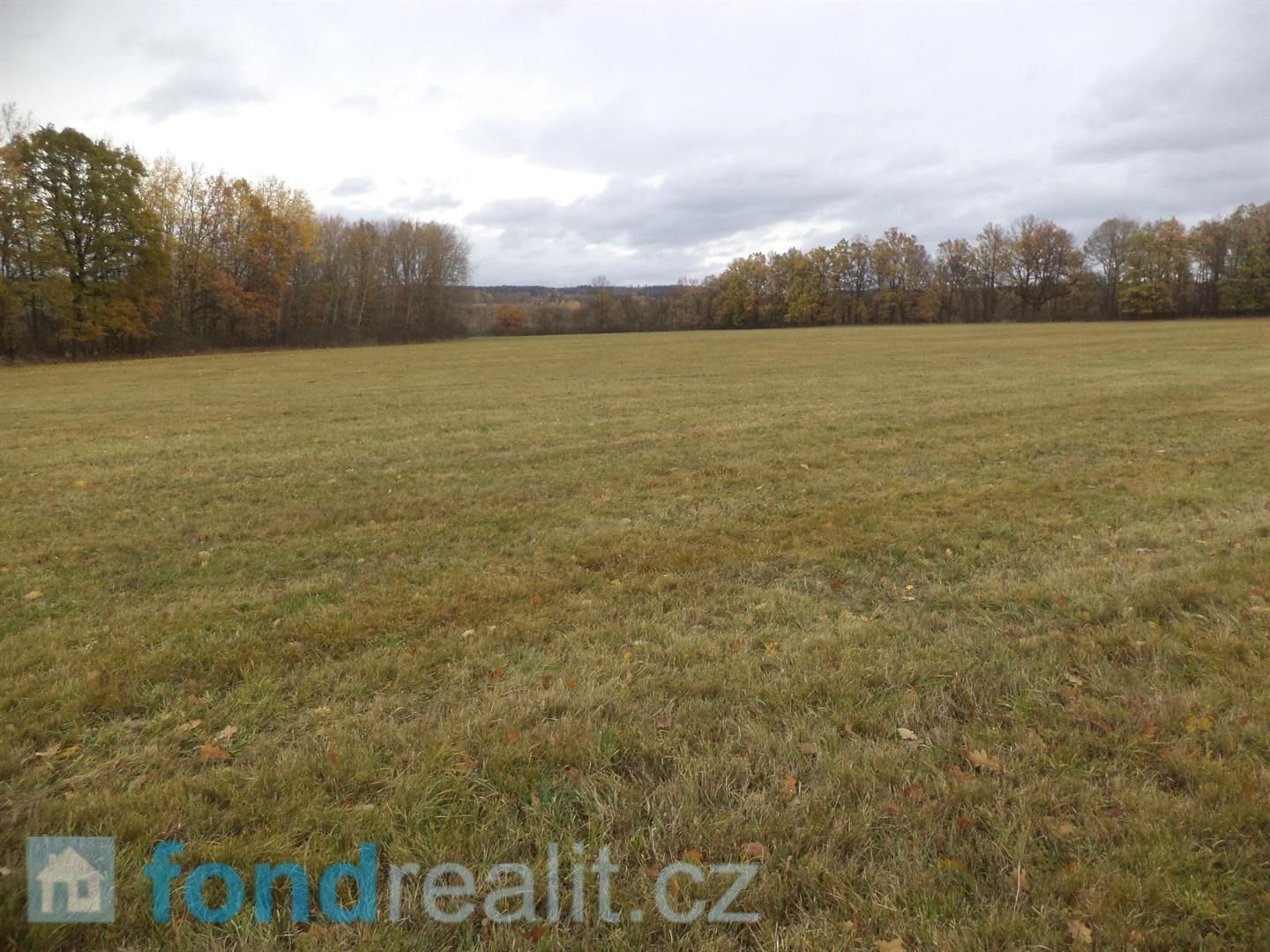 Prodej zemědělský pozemek - Ždírec, 10 827 m²