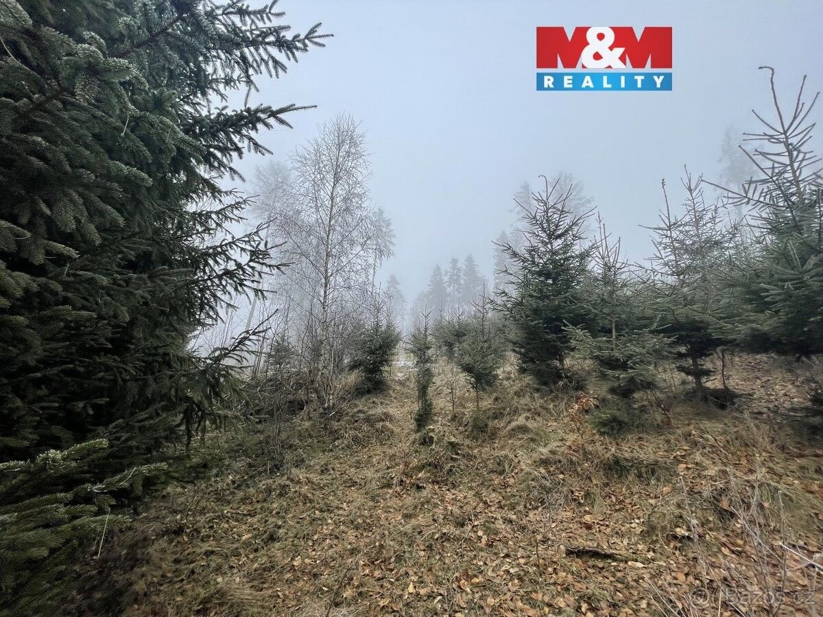 Pozemky pro bydlení, Nová Paka, 509 01