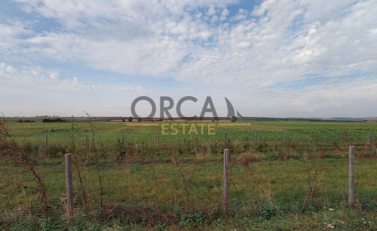 Prodej zemědělský pozemek - Strachotín, okres Břeclav, Jihomoravský kraj - 5