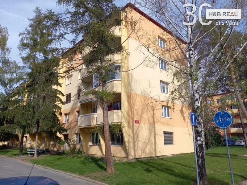 Byty, Veselí nad Moravou, 698 01 - 1